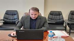 وبینار