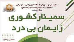 برگزاری سمینار کشوری «زایمان بی‌درد» در دانشگاه علوم پزشکی استان مرکزی