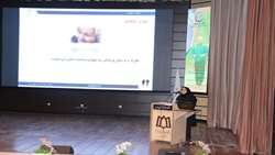 سهم 13.4 درصدی سالمندان از جمعیت استان همدان 