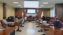 خسارات جبران ناپذیر سقط جنین برای سلامت مادر