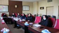 همدان شهر دوستدار سلامت سالمند/برگزاری جلسات هماهنگی در معاونت بهداشتی 
