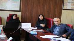 کمیته بهداشت با هدف حمایت از جوانی جمعیت تشکیل شد/ تمرکز بر ارزیابی سلامت باروری دختران نوجوان و کارکنان
