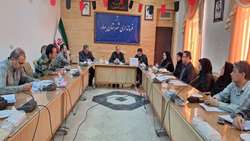 دومین کارگروه تخصصی سلامت و امنیت غذایی شهرستان بهار تشکیل جلسه داد.