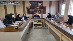 کارگروه پیشگیری و مقابله با سقط عمدی جنین در شبکه بهداشت و درمان رزن