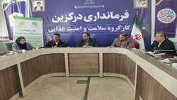 برگزاری کارگروه سلامت و امنیت غذایی شهرستان درگزین 