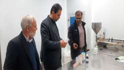 بازدید معاون هماهنگی امور اقتصادی استاندار همدان از پارک علم و فناوری سلامت دانشگاه علوم پزشکی همدان 