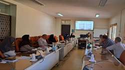  استفاده از ظرفیتهای موجود در زمینه معرفی خدمات سلامت سالمندی 