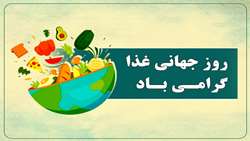 کارشناس تغذیه: آموزش به عنوان یکی از راهبردهای کاربردی بر امنیت غذایی تاثیرگذار است