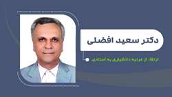 ارتقای دکتر سعیدافضلی از مرتبه دانشیاری به استادی