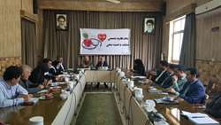 برگزاری کارگروه تخصصی سلامت و امنیت غذایی تویسرکان 