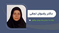 ارتقای دکتر نجفی از مرتبه دانشیاری به استادی