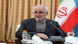 نان کامل باید به سبد غذایی خانوار راه یابد 