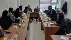 برگزاری نشست تخصصی جوانی جمعیت و پیشگیری از سقط عمدی در دانشگاه علوم پزشکی همدان