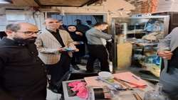 نظارت بر خودروهای سیار عرضه مواد غذایی در همدان