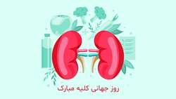 برای حفظ سلامت کلیه‌ها، مصرف خودسرانه دارو ممنوع 