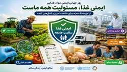 روز جهانی ایمنی مواد غذایی؛ از بار بیماری تا راه‌حل‌ها