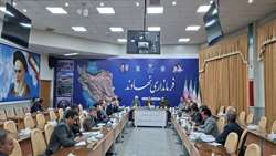 نشست خبری رییس دانشگاه علوم پزشکی همدان به مناسبت هفته سلامت