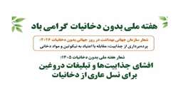 روزشمار هفته ملی بدون دخانیات سال ۱۴۰۵ (۴ لغایت ۱۰ خردادماه) اعلام شد