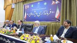 اجرای تفاهم‌نامه ۵۰۰ میلیارد تومانی آمبولانس در همدان اقدامی جهادی است