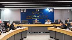 ضرورت هم‌‌افزایی همه ظرفیت‌های دانشگاه در مسیر حفظ سلامت مادران