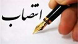 مدیر گروه آموزشی ویروس شناسی منصوب شد