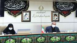 دکتر عین اللهی در سیزدهمین جلسه قرارگاه جوانی جمعیت عنوان کرد طرح‌های درمان ناباروری در اولویت نظام سلامت