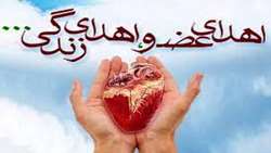 50 بیمار همدانی در صف انتظار پیوند کلیه/ 133 بیمار جدید به آمار بیماران دیالیزی همدان اضافه شد