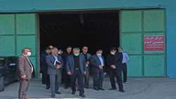 بازرسی مشترک مدیران غذا و دارو و مسئولین شهرستان از مراکز خرید گندم در قهاوند