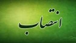 انتصاب دکتر فروزان رضاپور به عنوان عضو کمیته ارزیابی ایمنی معابر استان همدان