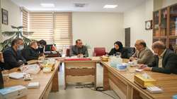 اجلاس سالانه همدان، مرکز جهانی طب سینایی در آستانه برگزاری