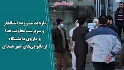 بازدید سرزده استاندار و سرپرست معاونت غذا و داروی دانشگاه از نانوایی‌های شهر همدان