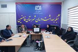 کارگروه مقابله با سقط غیرقانونی جنین در شبکه بهداشت شهرستان فامنین