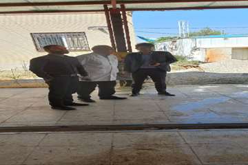 photo29232313258
