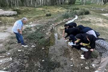 IMG_20260715_093157_865