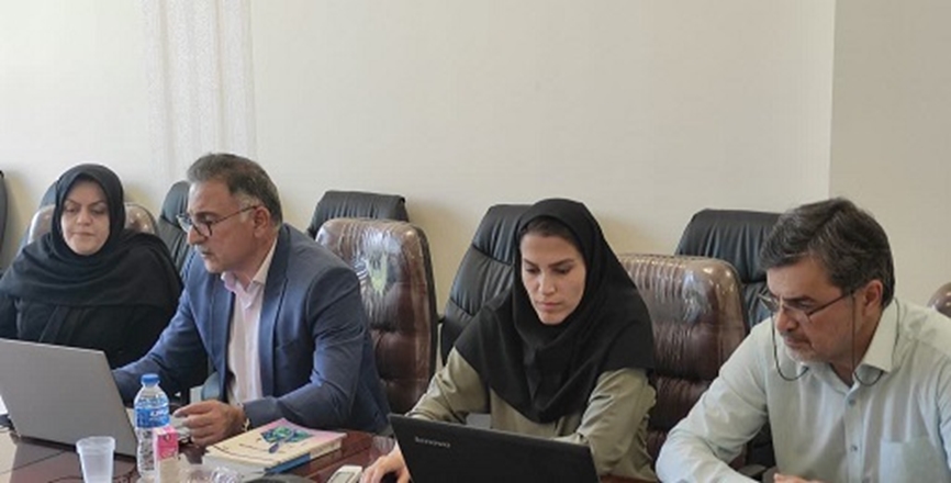 وبینار "چالشهای جمعیتی و نظام سلامت"
