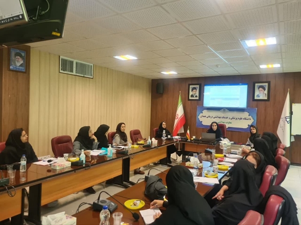 نشست سالانه کارشناسان ستادی سلامت جمعیت و خانواده برگزار شد