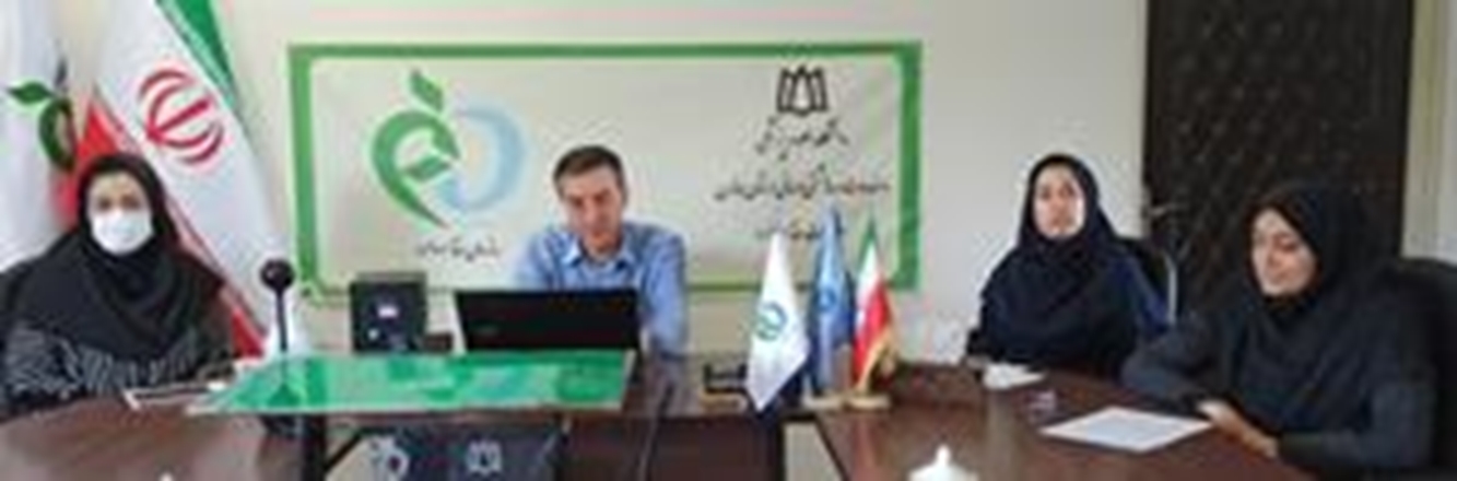 وبینار هم اندیشی و بررسی مسائل در خصوص تأمین، قیمت گذاری و نظارت و بازرسی حوزه غذا و دارو برگزار شد