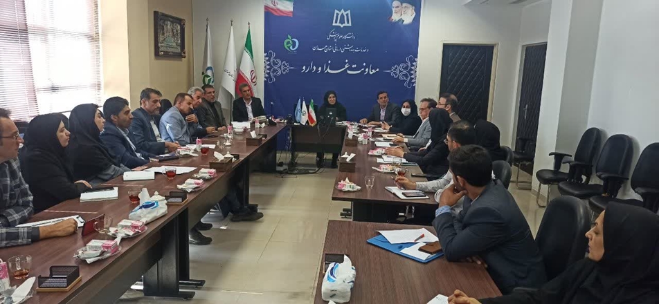 دومین کمیسیون پیشگیری از قاچاق کالاهای سلامت محور