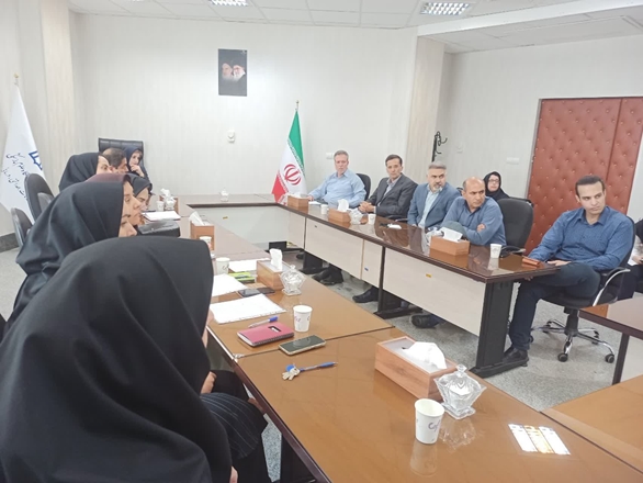 تأکید بر بهره‌گیری از ظرفیت صنعت برای رفع چالش‌های آموزشی دانشجویان داروسازی 