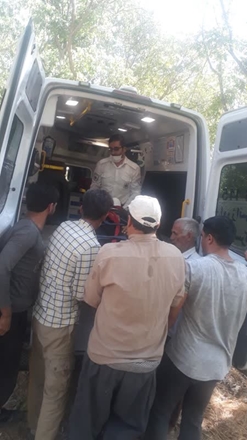 سقوط 3 باغدار دیگر از درختان گردوی تویسرکان 