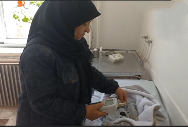 ۵۳۰ نوزاد متولد شده در تویسرکان غربالگری شنوایی شدند