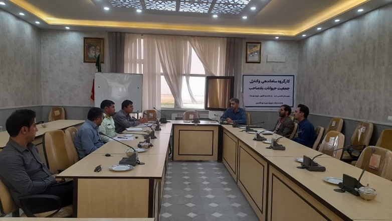 دومین کارگروه ساماندهی و کنترل جمعیت حیوانات بلاصاحب 