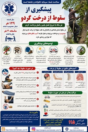 با شروع فصل برداشت گردو؛ پیشگیری از سقوط و آسیب‌های نخاعی را جدی بگیریم