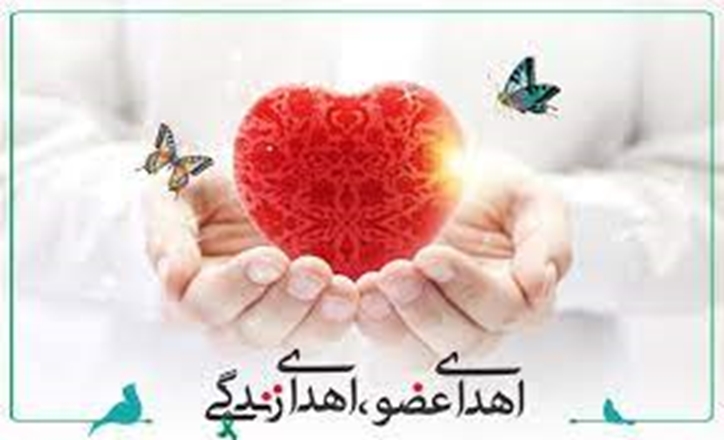 عضو 9 بیمار مرگ مغزی در همدان اهدا شد 