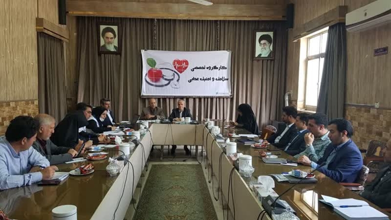برگزاری کارگروه تخصصی سلامت و امنیت غذایی تویسرکان 