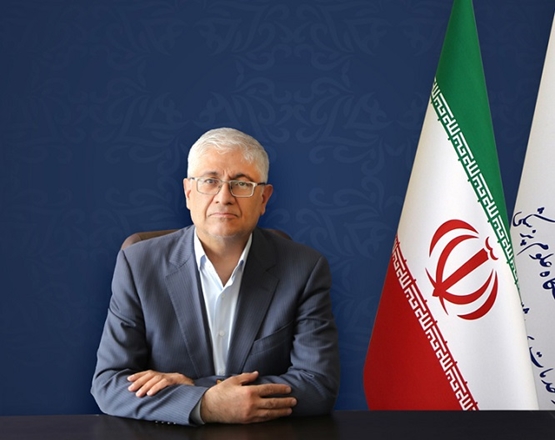 قدردانی رییس دبیرخانه شورای عالی سلامت و امنیت غذایی از دکتر معصومی 