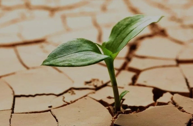 تاب آوری و مدارای اجتماعی نیاز جامعه امروز