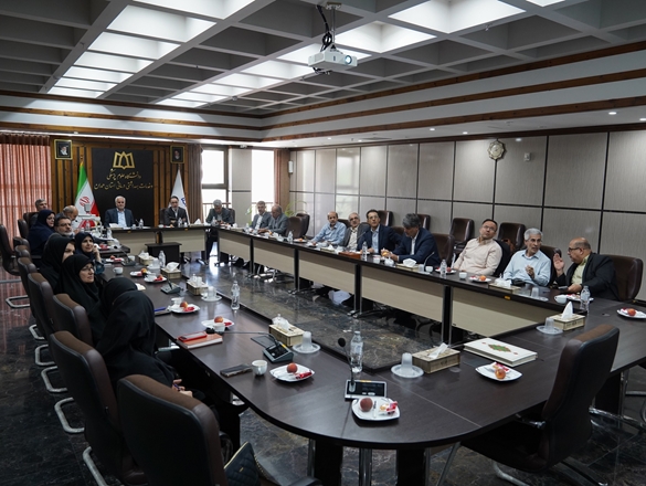 برگزاری جلسه هیئت ممیزه دانشگاه علوم پزشکی همدان 