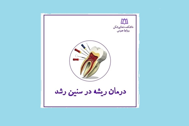 نکاتی مهم درباره درمان ریشه در سنین رشد از عضو هیئت علمی دانشگاه علوم پزشکی همدان 