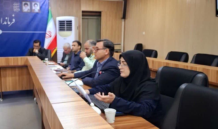 سلامت سالمندان و پیشگیری از بیماری‌های زئونوز، محورهای اصلی سومین نشست کارگروه سلامت و امنیت غذایی شهرستان همدان